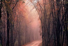 阿森纳不敌里昂，英超球队客场失利