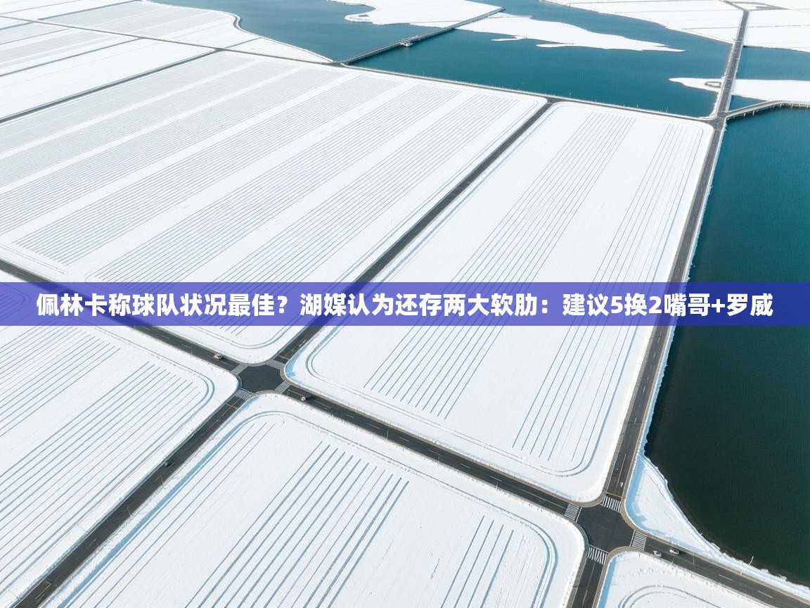 佩林卡称球队状况最佳?湖媒认为还存两大软肋:建议5换2嘴哥+罗威