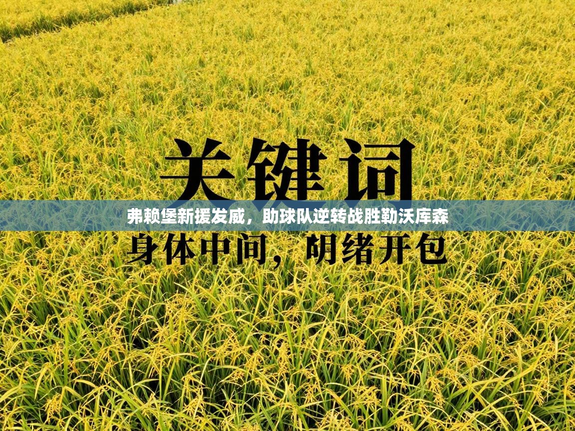 弗赖堡新援发威，助球队逆转战胜勒沃库森  第1张