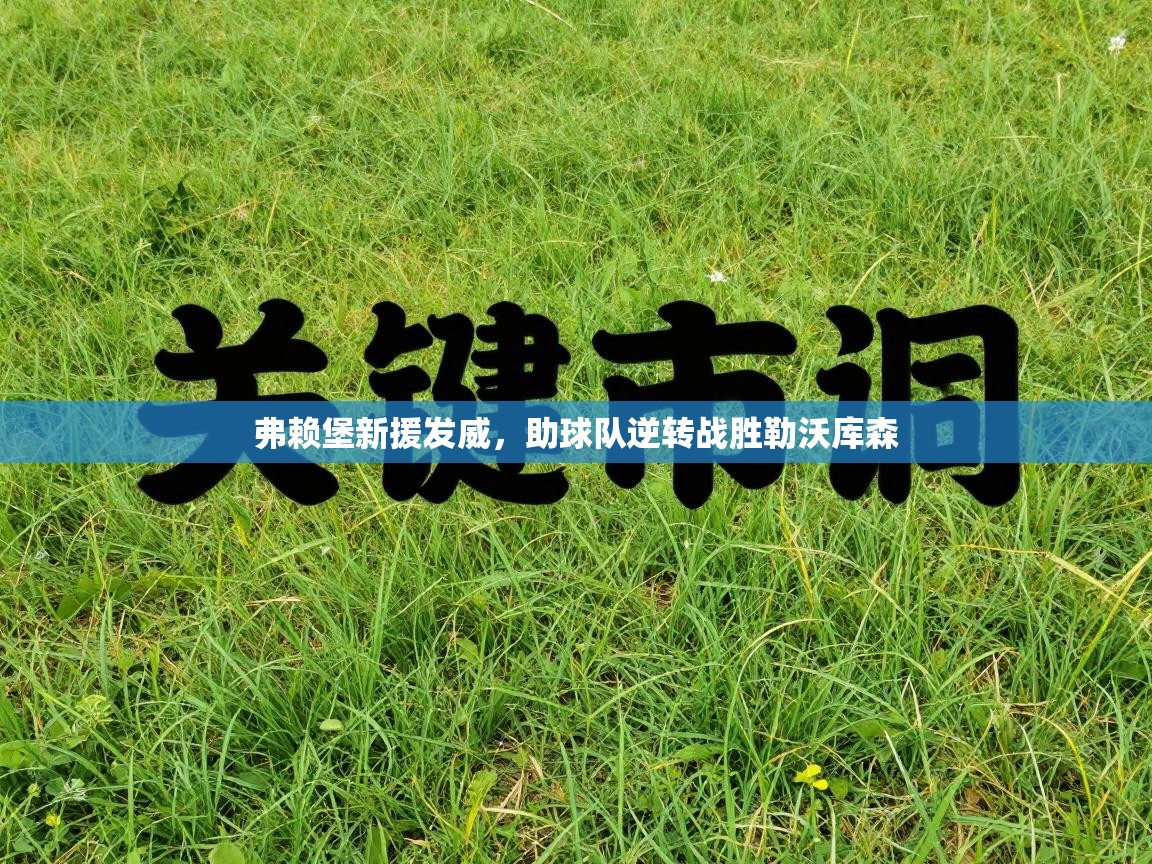 弗赖堡新援发威，助球队逆转战胜勒沃库森  第2张